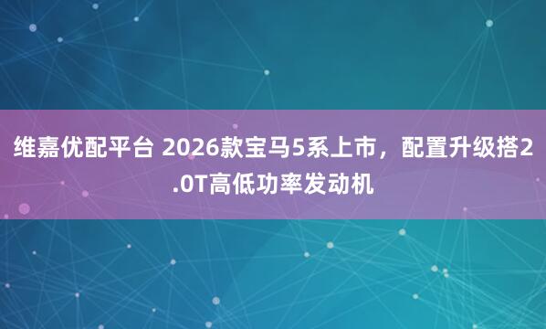 维嘉优配平台 2026款宝马5系上市，配置升级搭2.0T高低功率发动机
