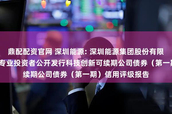 鼎配配资官网 深圳能源: 深圳能源集团股份有限公司2025年面向专业投资者公开发行科技创新可续期公司债券（第一期）信用评级报告