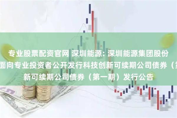 专业股票配资官网 深圳能源: 深圳能源集团股份有限公司2025年面向专业投资者公开发行科技创新可续期公司债券（第一期）发行公告